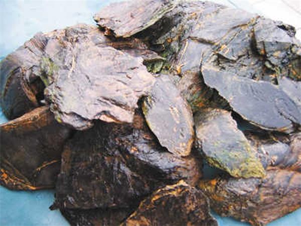 油頁(yè)巖